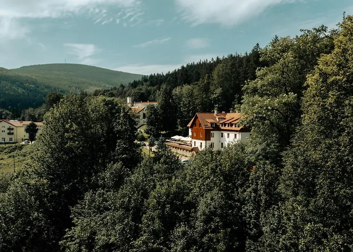 Hotel Le Mont Medical & Spa